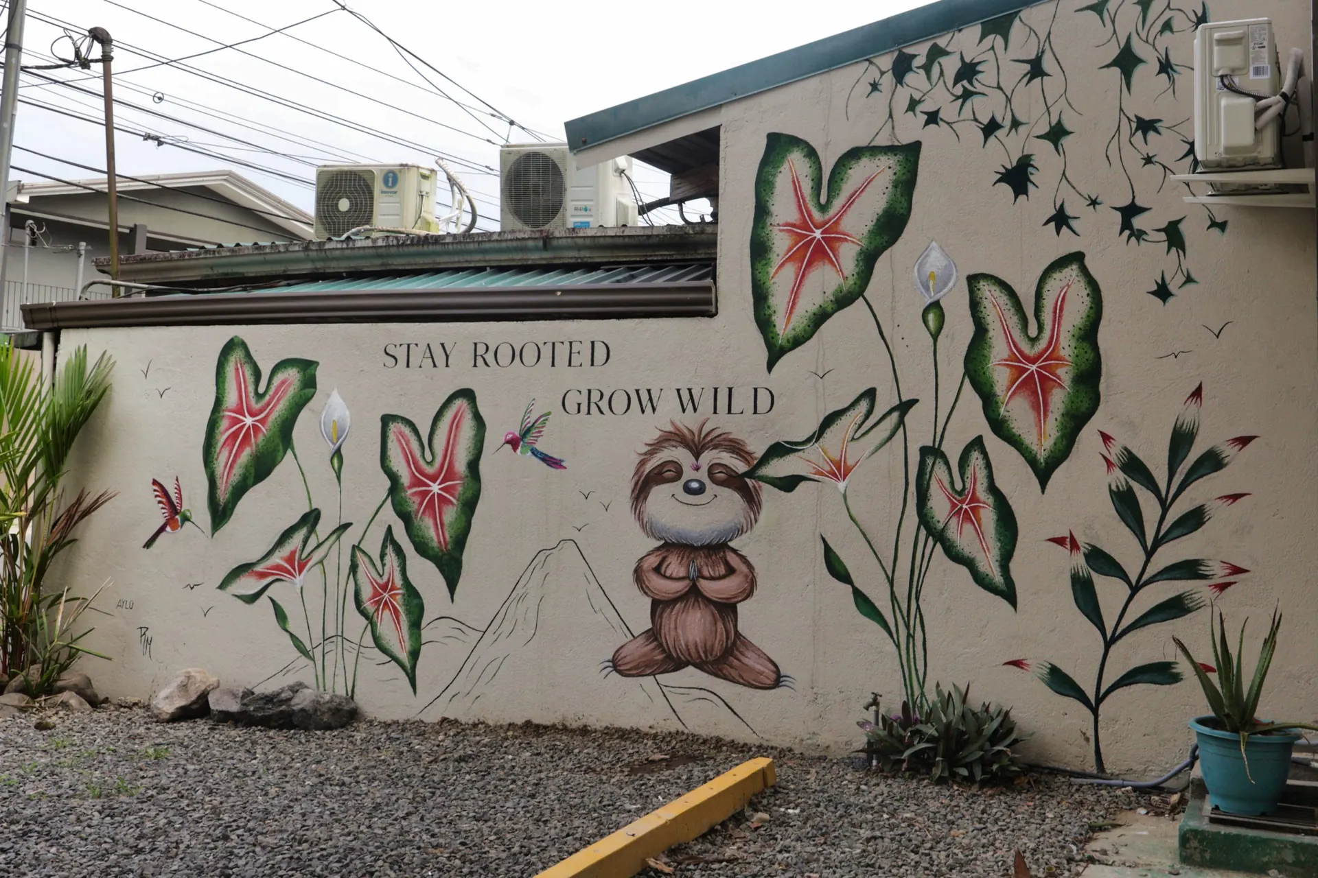 Ceiba Eco Hostel mural